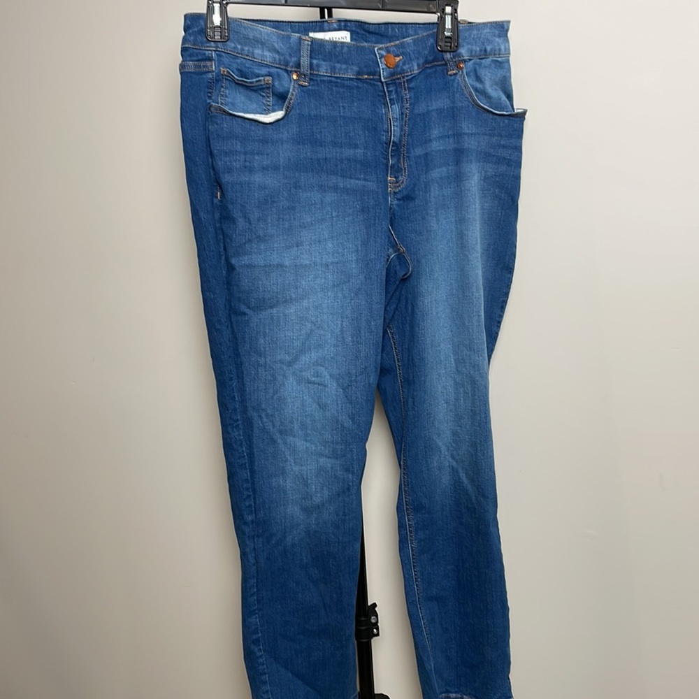 Plus Size Blue Jean | Size 18